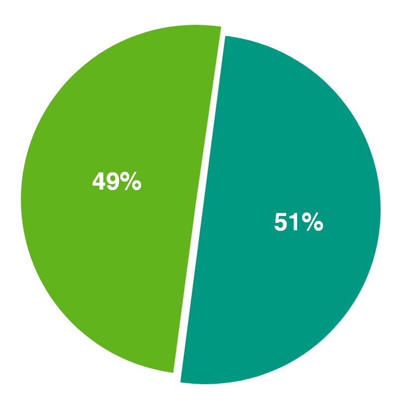 graph 11