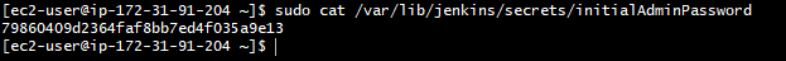 Install Jenkins on AWS EC2 Instance using Terraform! 13 password setting